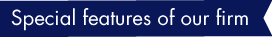 Special features of our firm